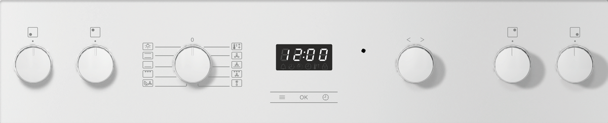 MIELE Herd H 2456-55 EP
BW 400V