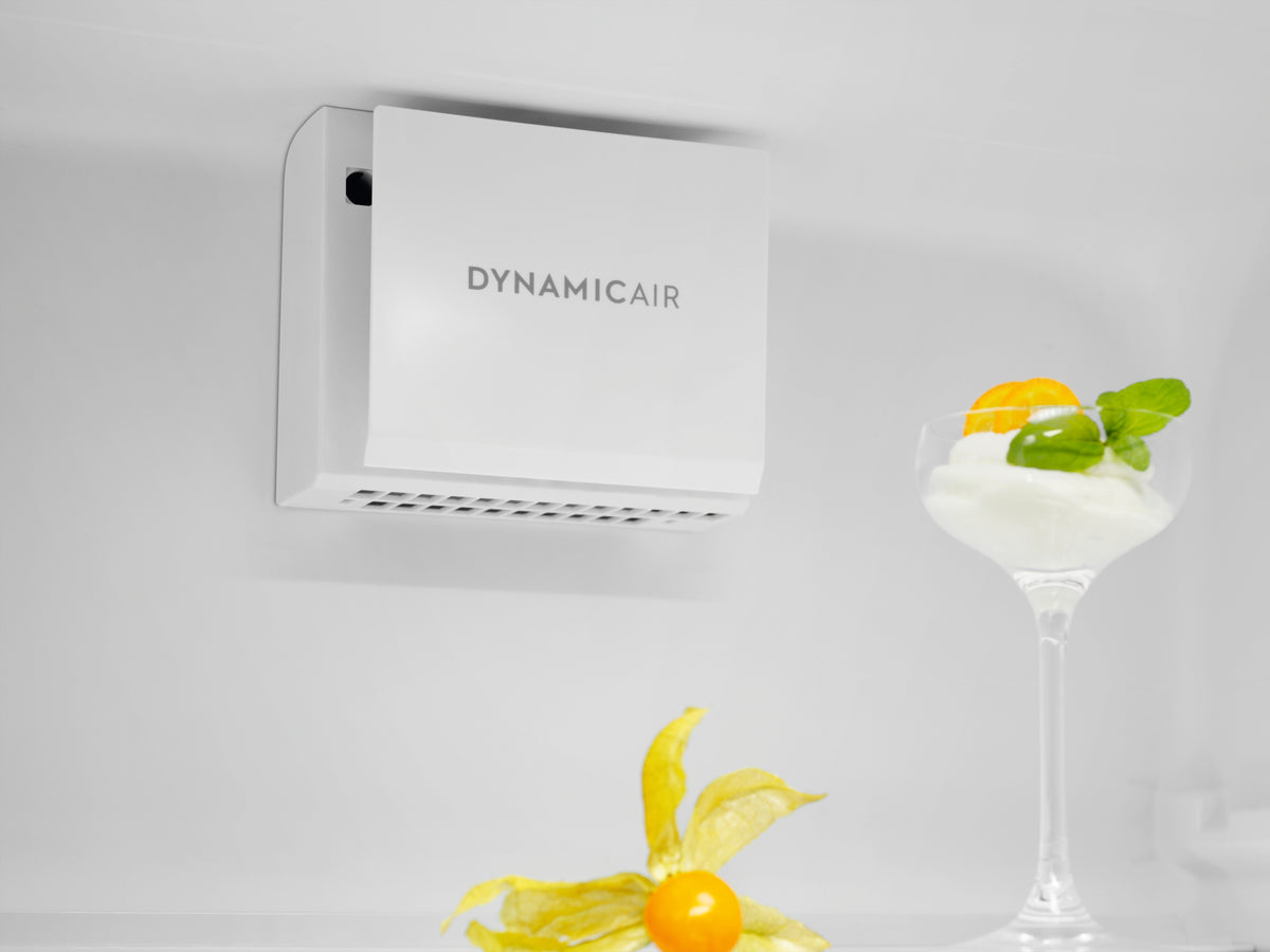 Frigorifero Electrolux SC310