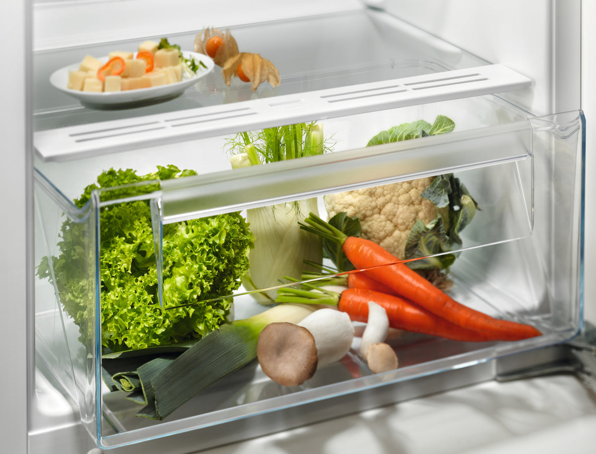 Frigorifero Electrolux EK242SLBR
