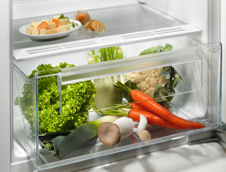 Frigorifero Electrolux EK242SLBR