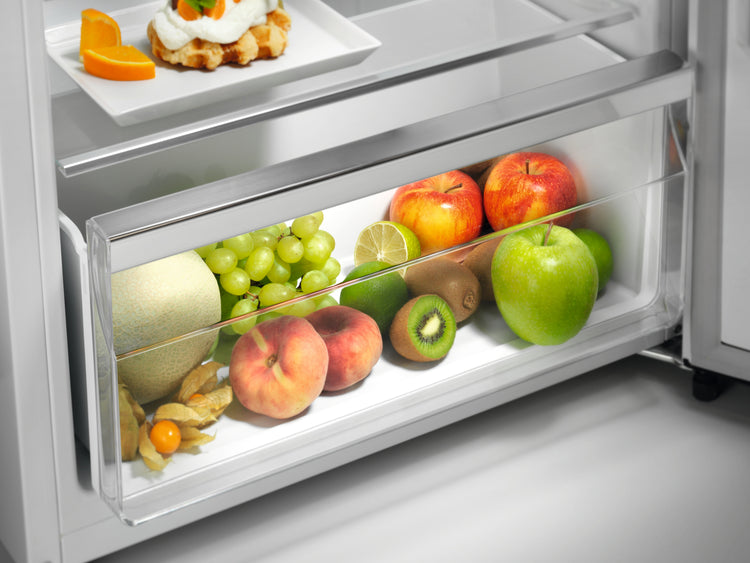 Electrolux Réfrigérateur-congélateur ST281F